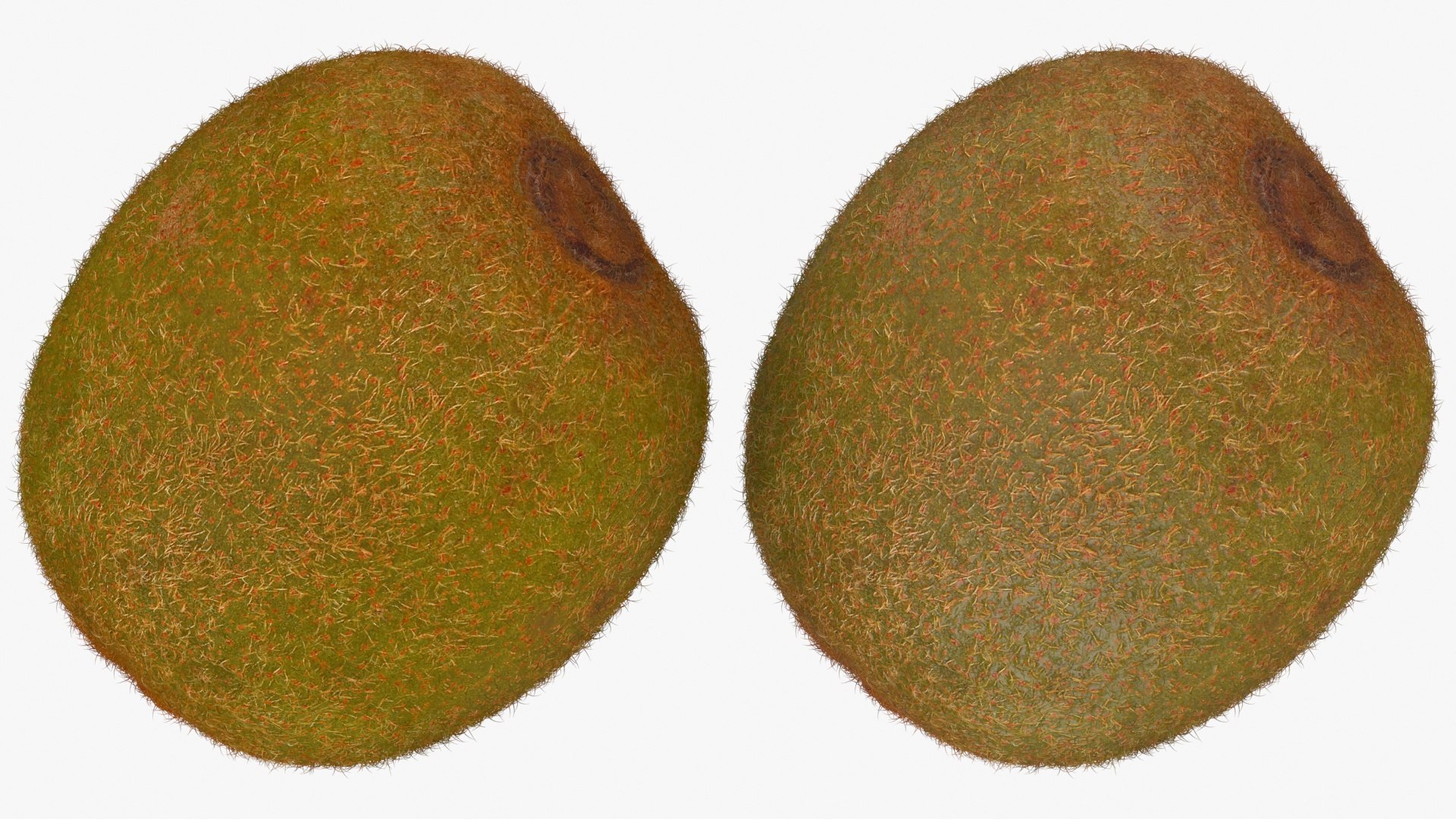 3D Whole Kiwi Collection https://p.turbosquid.com/ts-thumb/Tg/eb6zv4/dx/kiwi02_a0003/jpg/1722710136/1920x1080/fit_q87/800a3775a0fee842e156309bbaeac83d6d95394c/kiwi02_a0003.jpg