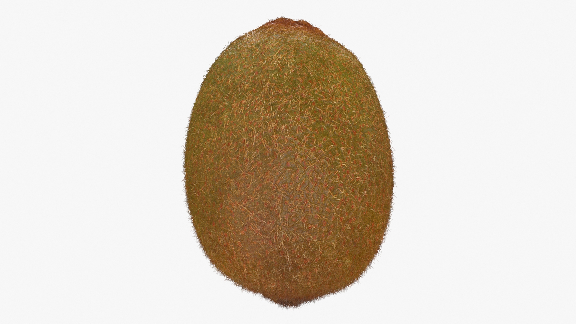 3D Whole Kiwi Collection https://p.turbosquid.com/ts-thumb/Tg/eb6zv4/gt/kiwi01/jpg/1722708349/1920x1080/turn_fit_q99/21c7d7f678fe91000ec79588dac74fc4879bd57f/kiwi01-1.jpg