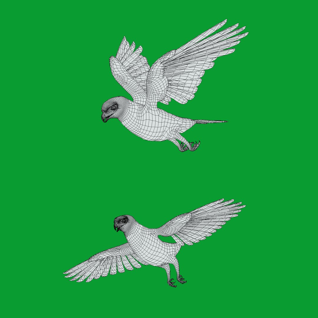 Eurasian Kestrel Falcon Bird 3D model https://p.turbosquid.com/ts-thumb/Tg/nHQdJk/Xv/wire/png/1762762562/1920x1080/fit_q87/8f503e0802a827de85ecbb87847fc585cbd477f9/wire.jpg