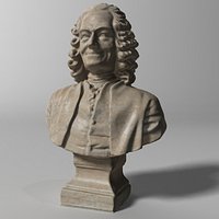 Voltaire Bust