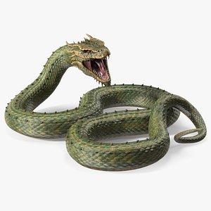Mythical Serpentine Dragon Rigged