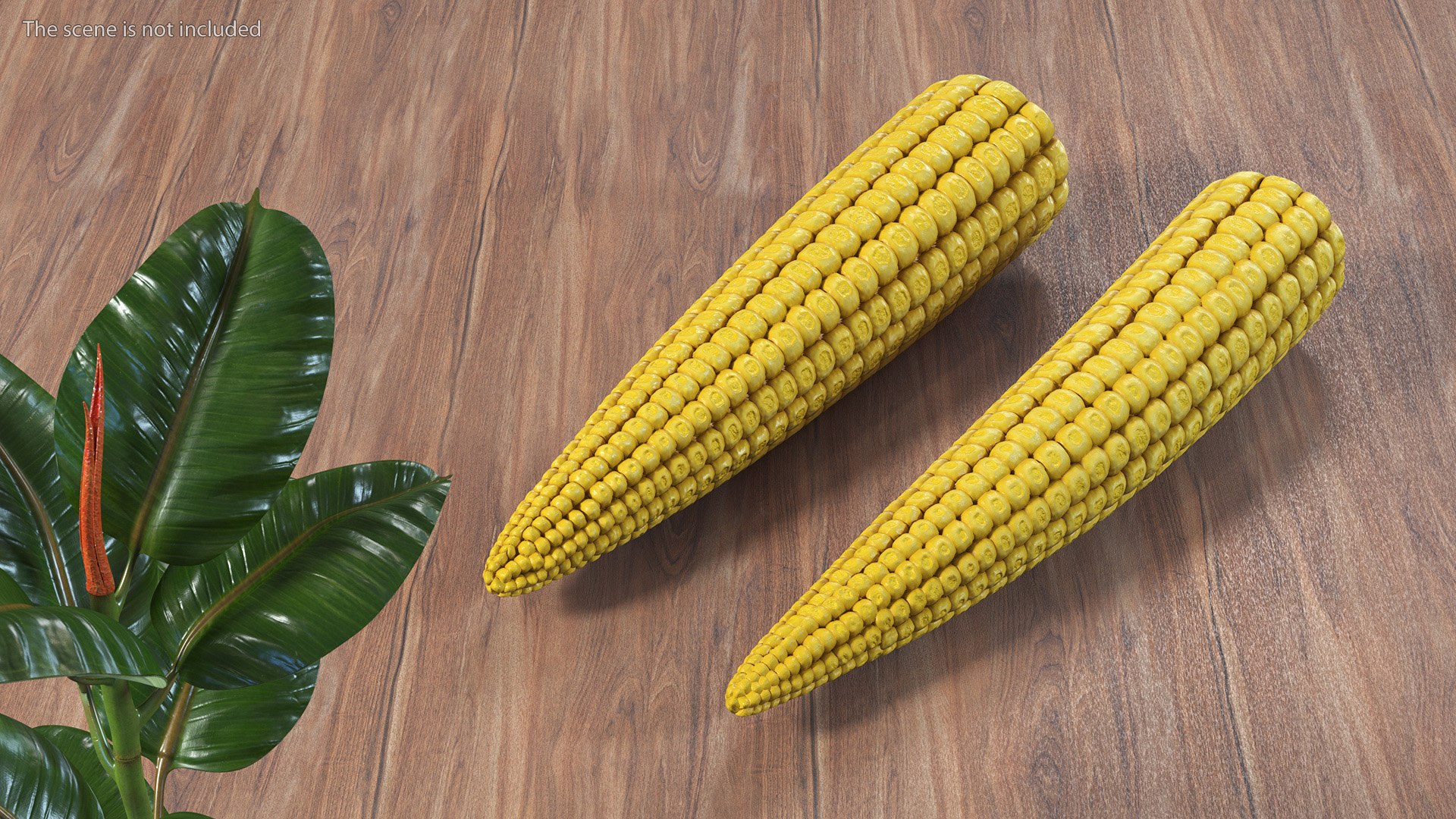 3D Baby Corns Collection https://p.turbosquid.com/ts-thumb/Th/7Kj1tl/7A/baby_corns_collection_002/jpg/1709234109/1920x1080/fit_q87/5c72855a3a5d1e4735181f10743281bd199f5c6e/baby_corns_collection_002.jpg