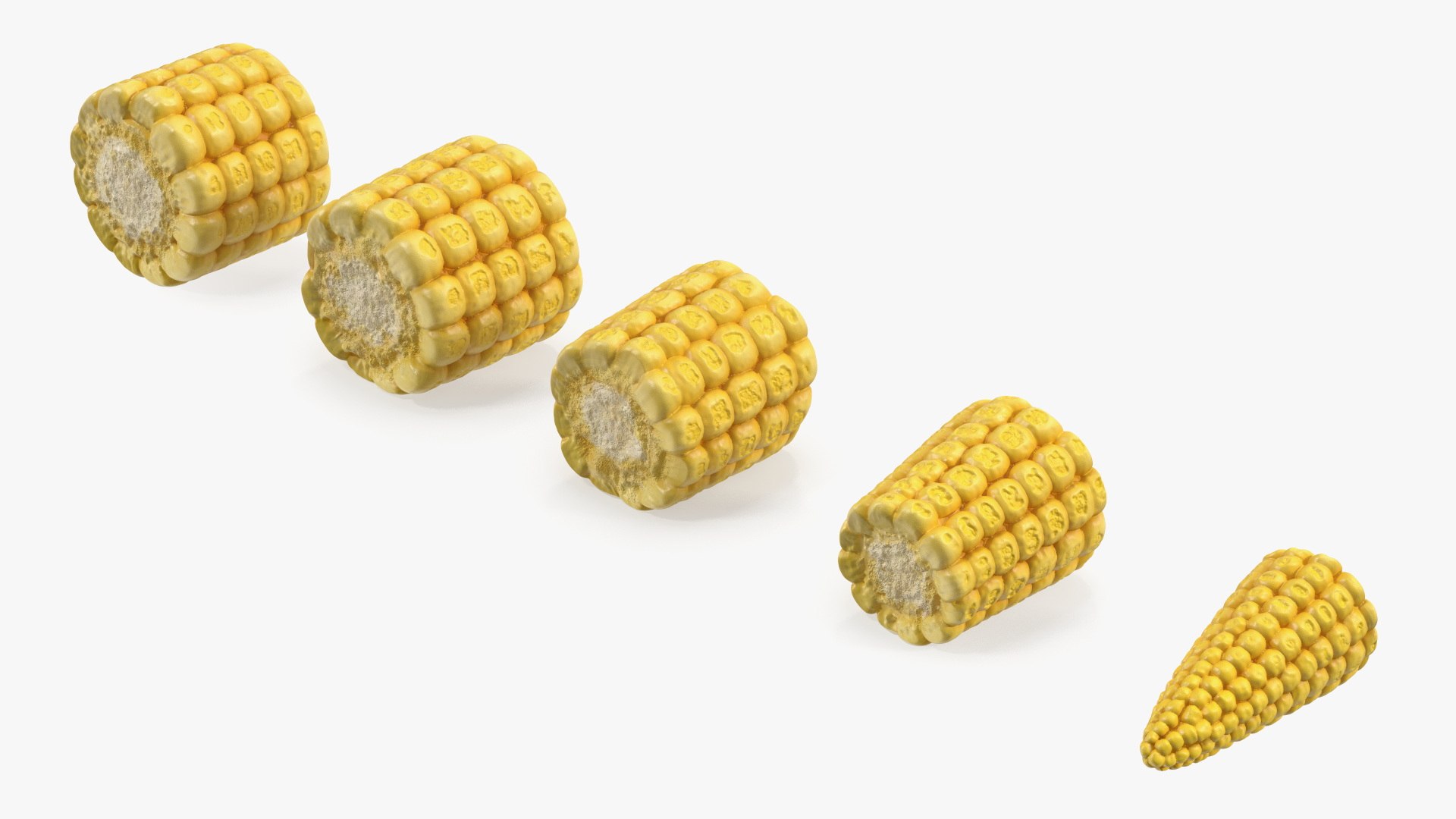 3D Baby Corns Collection https://p.turbosquid.com/ts-thumb/Th/7Kj1tl/Sq/baby_corns_collection_018/jpg/1709234142/1920x1080/fit_q87/f891980309ba8350ce7653fa1dcacd123e5e3529/baby_corns_collection_018.jpg