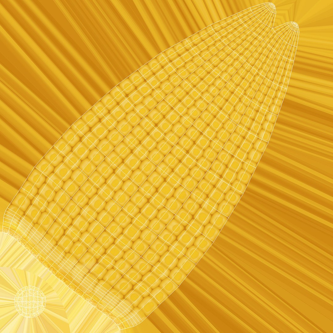 3D Baby Corns Collection https://p.turbosquid.com/ts-thumb/Th/7Kj1tl/WB/baby_corns_collection_021/jpg/1709234152/1920x1080/fit_q87/cf15ab15982e3ee164770f425fcc3b9018c4ea55/baby_corns_collection_021.jpg