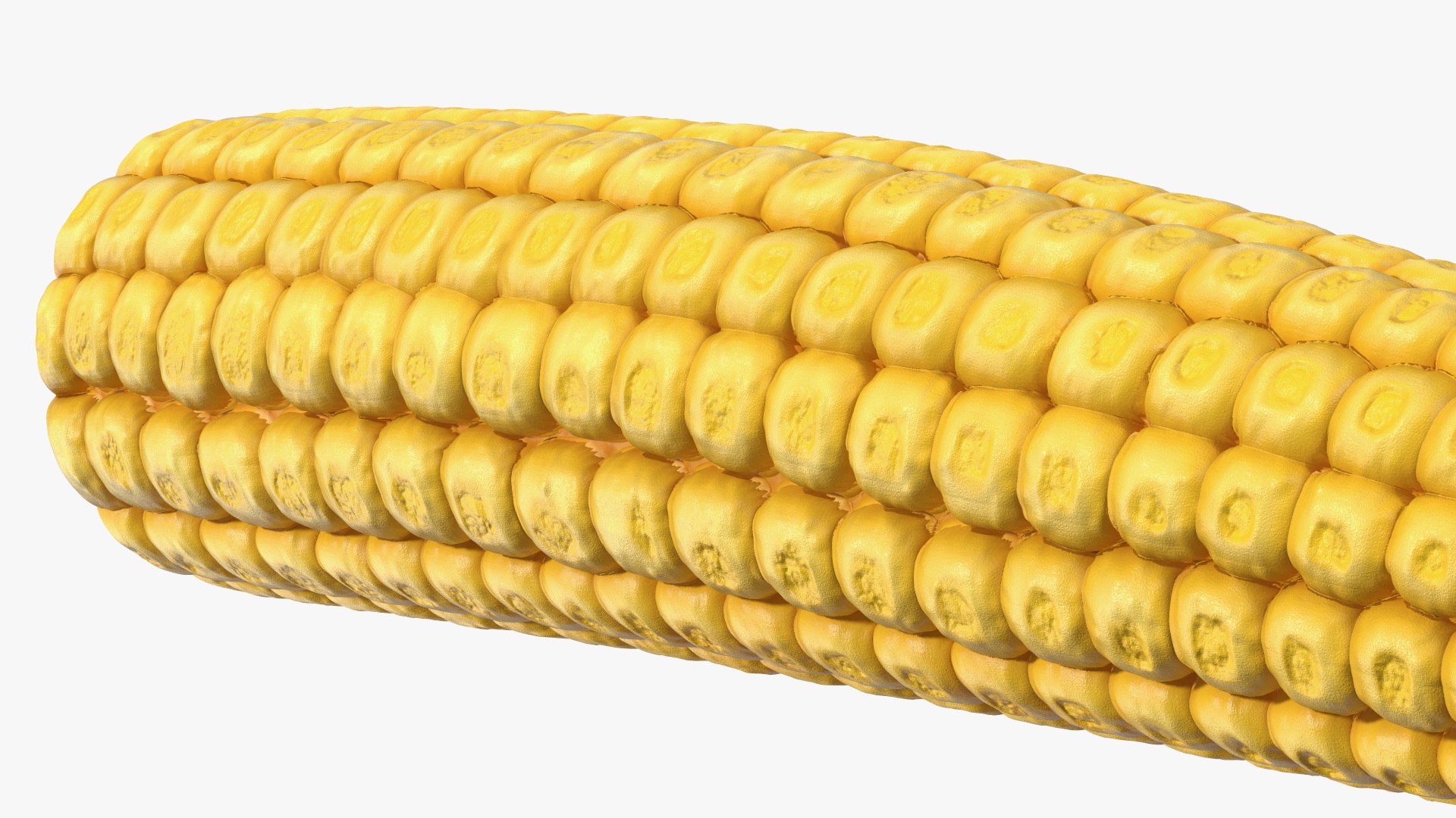 3D Baby Corns Collection https://p.turbosquid.com/ts-thumb/Th/7Kj1tl/cj/baby_corns_collection_012/jpg/1709234128/1920x1080/fit_q87/7a245c6aa45a51f577aad28145a9c7519e8b9101/baby_corns_collection_012.jpg