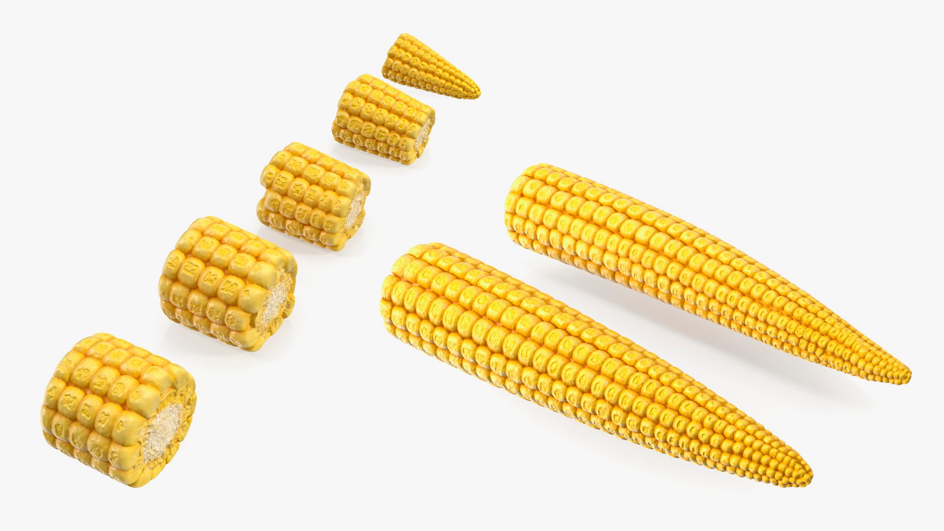 3D Baby Corns Collection https://p.turbosquid.com/ts-thumb/Th/7Kj1tl/jg/babycornscollectionmb3dmodel001/jpg/1709146288/1920x1080/fit_q87/b79bba0af91c9c6baef5d1c4bbaee018b2db90ab/babycornscollectionmb3dmodel001.jpg