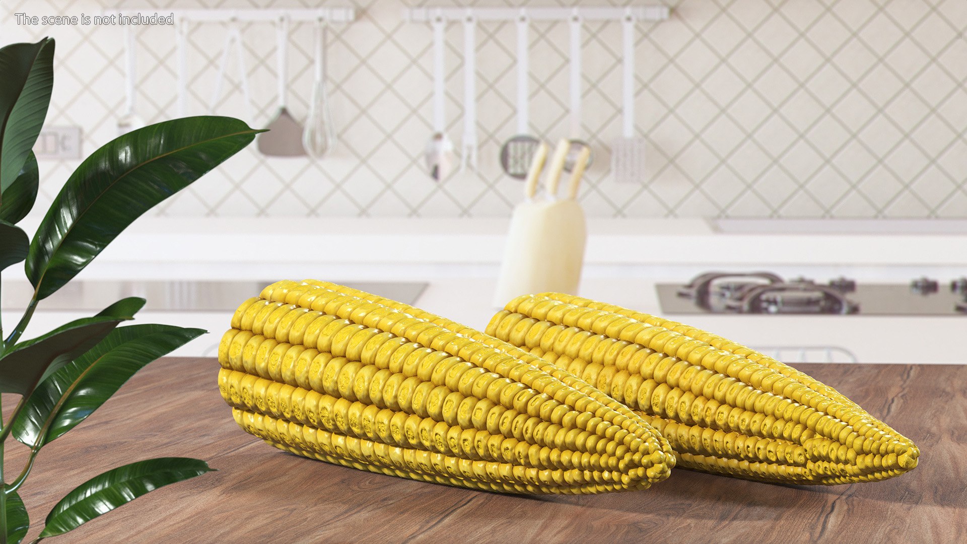 3D Baby Corns Collection https://p.turbosquid.com/ts-thumb/Th/7Kj1tl/zJ/baby_corns_collection_003/jpg/1709234105/1920x1080/fit_q87/81932bdeca309e218e1871734b5991a9d17b6bd7/baby_corns_collection_003.jpg