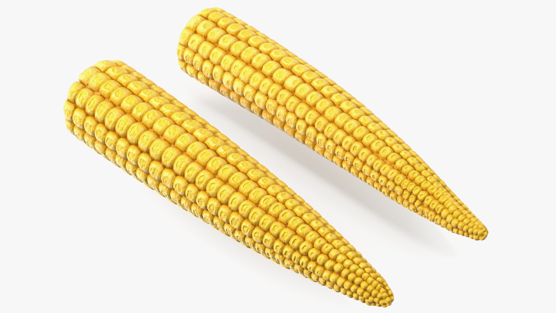 3D Baby Corns Collection https://p.turbosquid.com/ts-thumb/Th/7Kj1tl/zl/baby_corns_collection_008/jpg/1709234120/1920x1080/fit_q87/19fb25453a9c4c4d06c4de7a3731911779a31fbe/baby_corns_collection_008.jpg