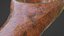 Realistische Holzkelle PBR 3D-Modell