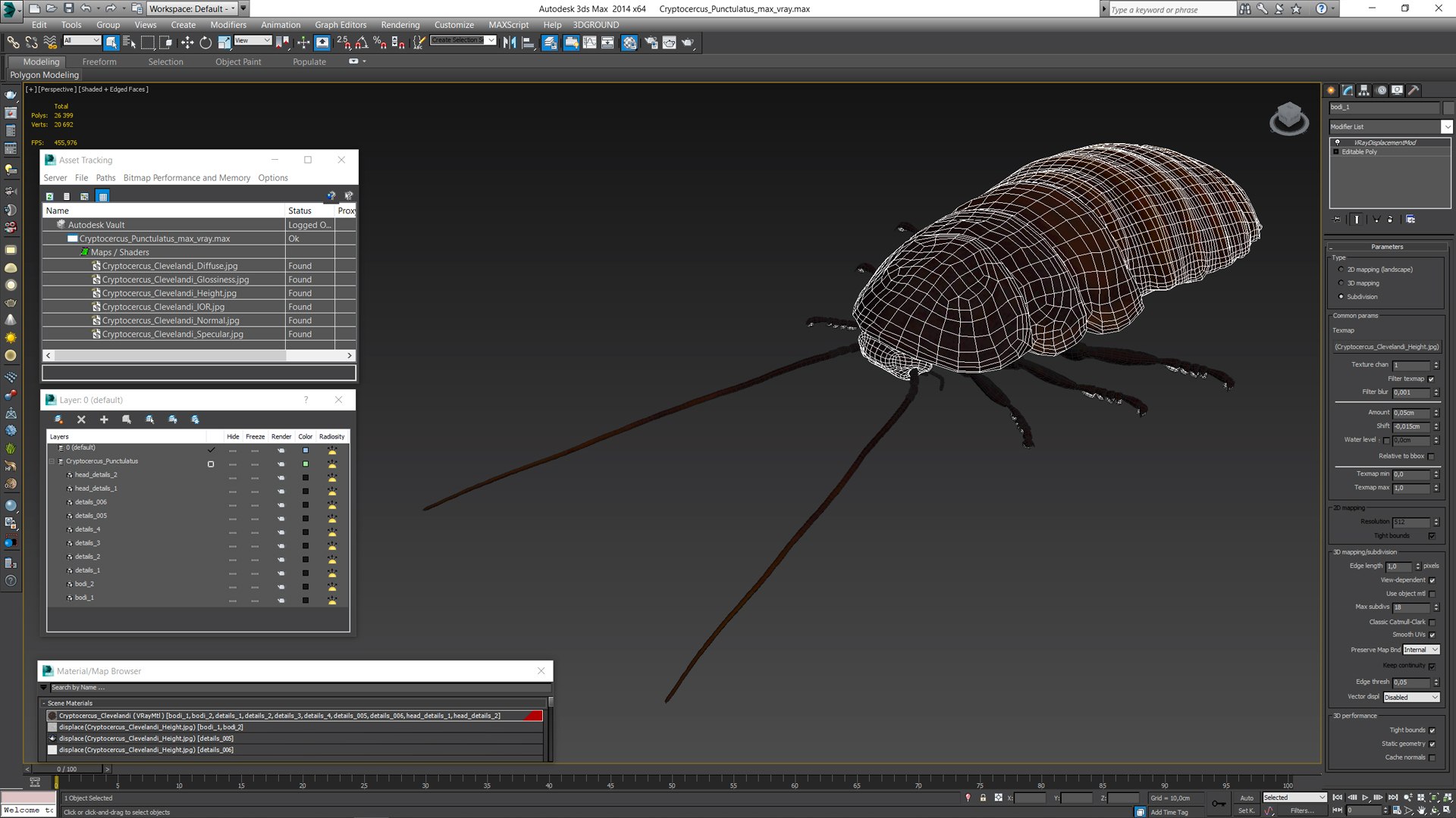 3D Cryptocercus Punctulatus - TurboSquid 2154569