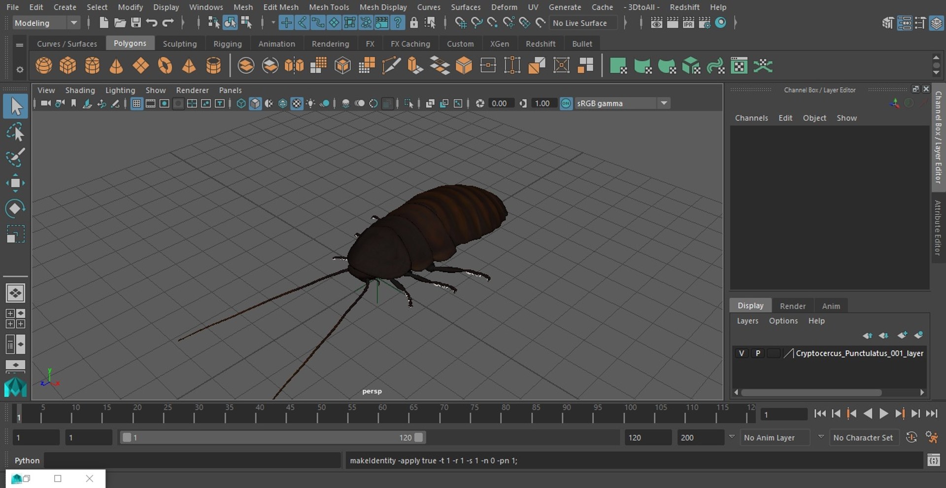3D Cryptocercus Punctulatus - TurboSquid 2154569