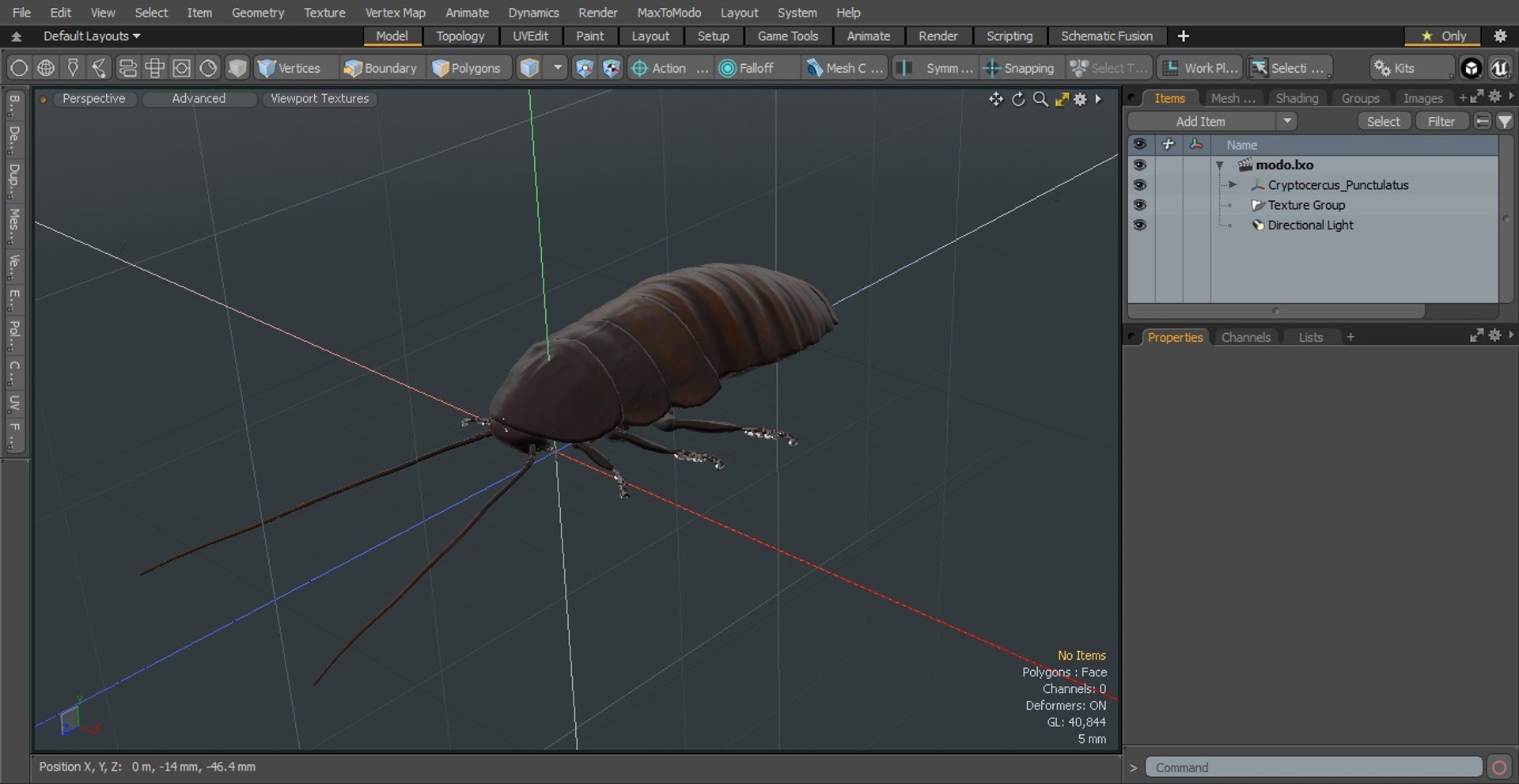 3D Cryptocercus Punctulatus - TurboSquid 2154569
