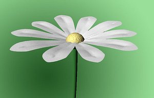 free flower 3d model