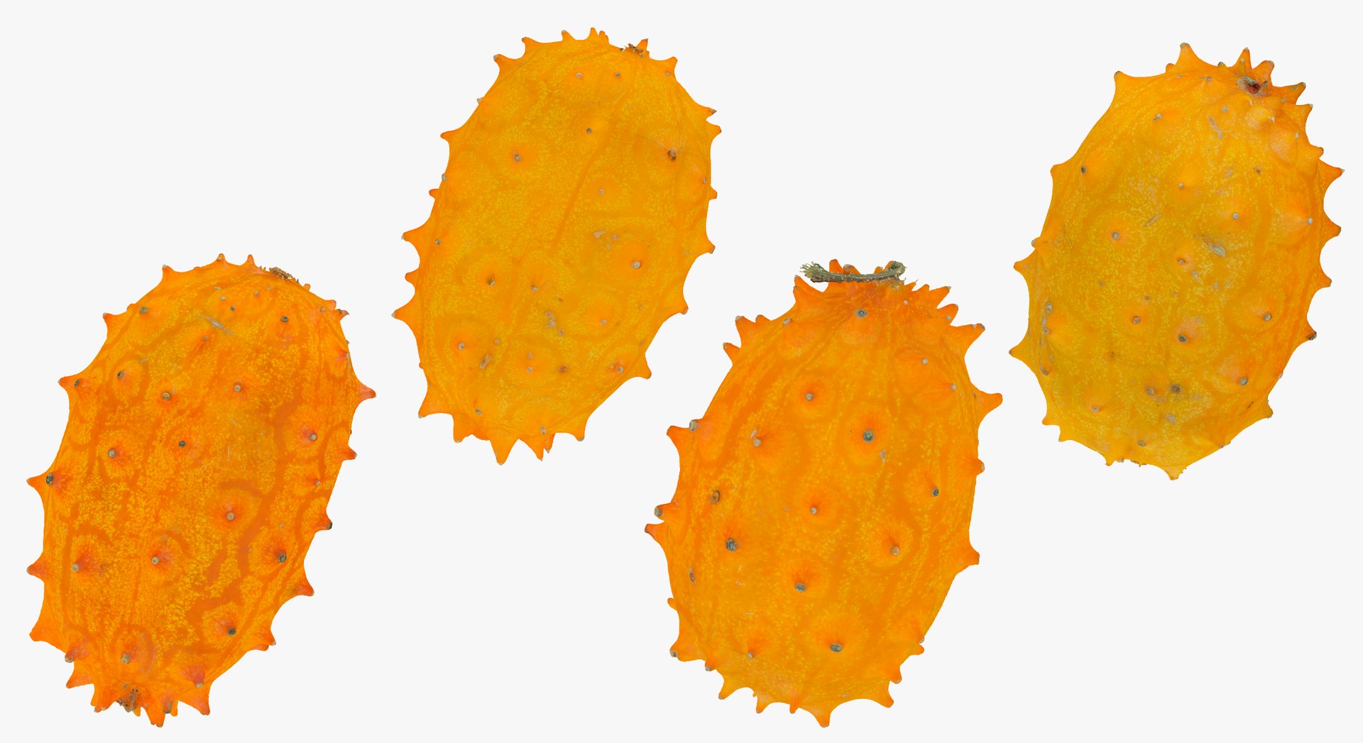 3D model Fruits Collection 01 - 105 models RAW Scans https://p.turbosquid.com/ts-thumb/Th/KdbzRr/64/1c/jpg/1639998202/1920x1080/fit_q87/ea620286f367e6bcf84388807c358576ac245722/1c.jpg