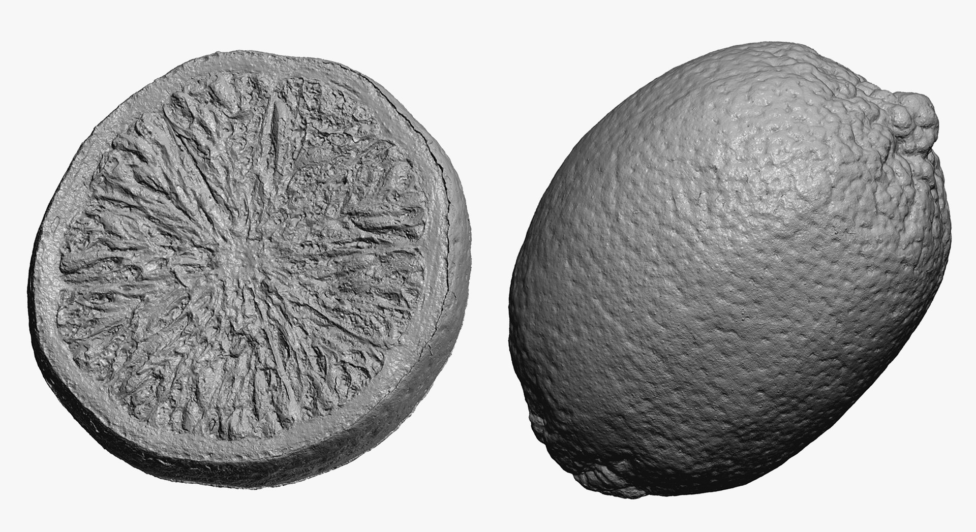 3D model Fruits Collection 01 - 105 models RAW Scans https://p.turbosquid.com/ts-thumb/Th/KdbzRr/6O/15w/jpg/1639998282/1920x1080/fit_q87/5180cbfc972052096a3144ecbee5bb677a47aad4/15w.jpg