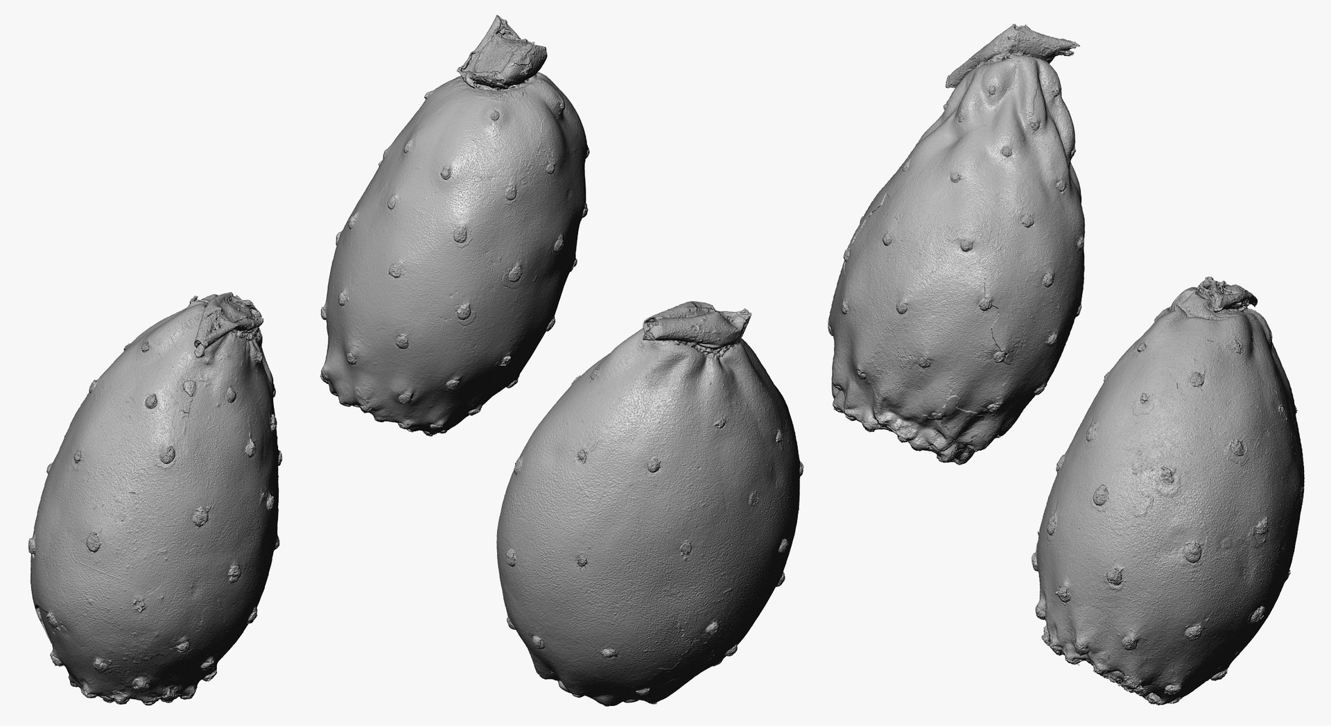 3D model Fruits Collection 01 - 105 models RAW Scans https://p.turbosquid.com/ts-thumb/Th/KdbzRr/6j/22w/jpg/1639998282/1920x1080/fit_q87/6a0ca6b5bd5c9a149b92ccbb261f1bee59403228/22w.jpg