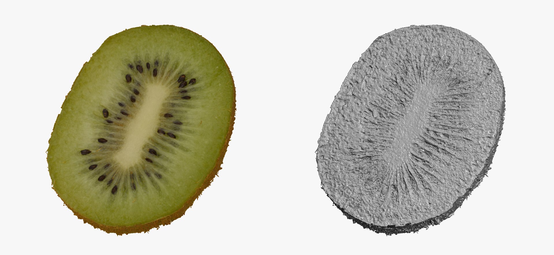 3D model Fruits Collection 01 - 105 models RAW Scans https://p.turbosquid.com/ts-thumb/Th/KdbzRr/GJ/kiwi_ring_slice_01_thumbnail_03/jpg/1639998395/1920x1080/fit_q87/c9103bfb287f34a85a0bdcbf50b8cc4006fbde2f/kiwi_ring_slice_01_thumbnail_03.jpg