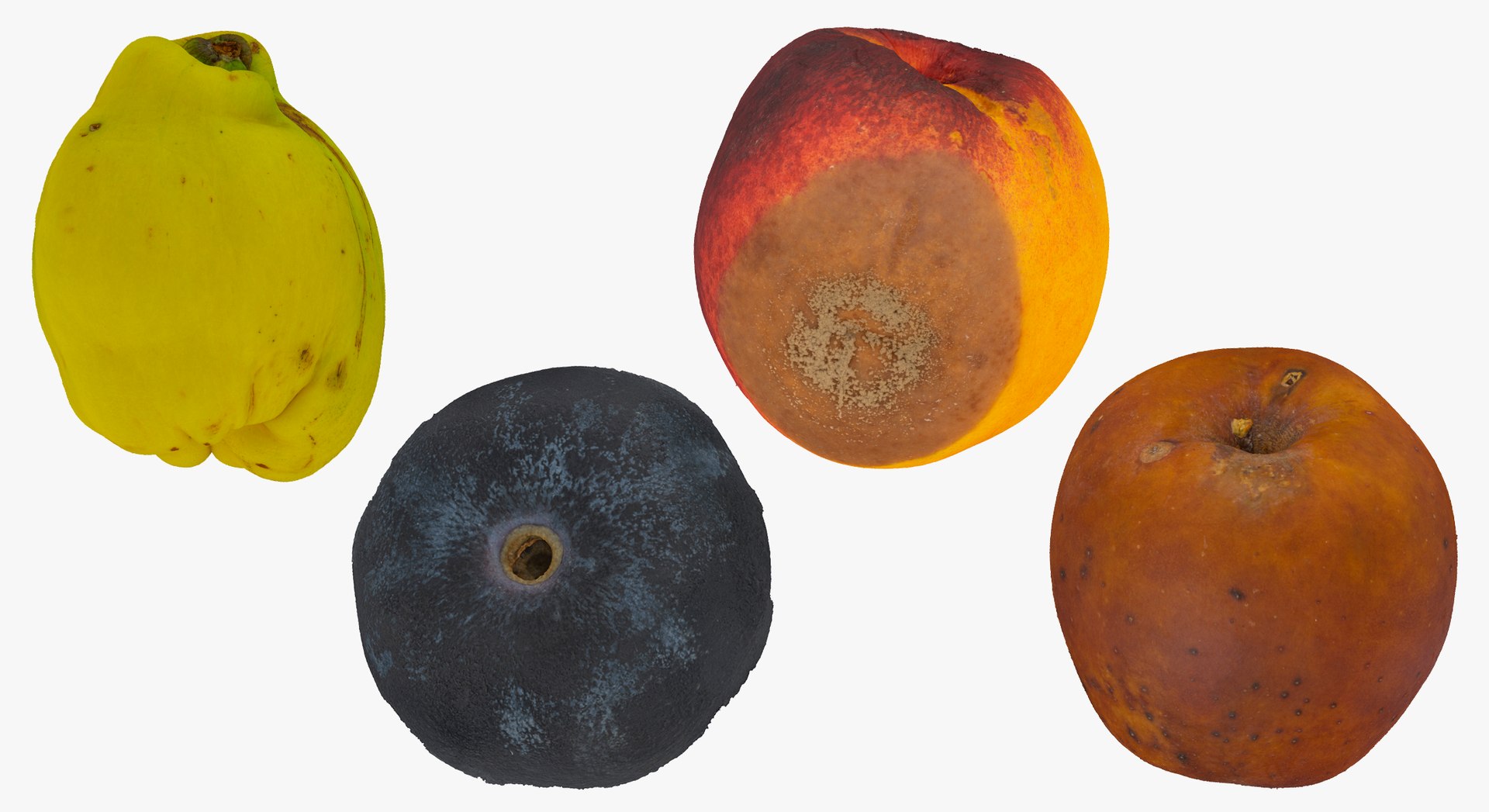 3D model Fruits Collection 01 - 105 models RAW Scans https://p.turbosquid.com/ts-thumb/Th/KdbzRr/GZ/24c/jpg/1639998206/1920x1080/fit_q87/92648cf8087bfd11453288f75b4eb0460df3cb1b/24c.jpg