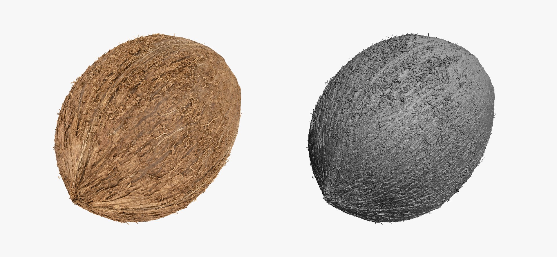 3D model Fruits Collection 01 - 105 models RAW Scans https://p.turbosquid.com/ts-thumb/Th/KdbzRr/RM/coconut01thumbnail03/jpg/1639998413/1920x1080/fit_q87/ec90f73b7c794694e57af2d85712277707148822/coconut01thumbnail03.jpg