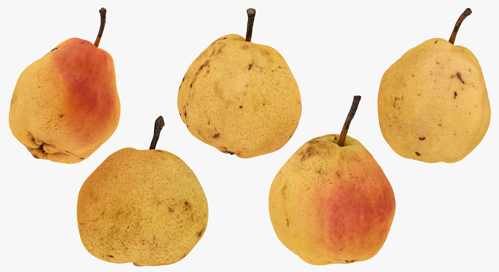 3D model Fruits Collection 01 - 105 models RAW Scans https://p.turbosquid.com/ts-thumb/Th/KdbzRr/SM/9c/jpg/1639998205/1920x1080/fit_q87/cd051f27baefa2bb2b7f9138c7af636978e4bca6/9c.jpg