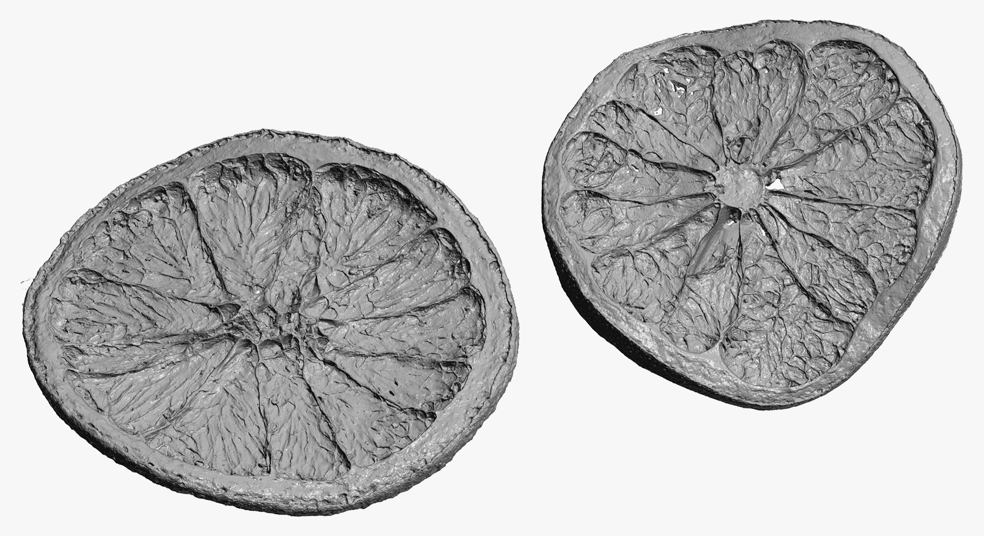 3D model Fruits Collection 01 - 105 models RAW Scans https://p.turbosquid.com/ts-thumb/Th/KdbzRr/WG/20w/jpg/1639998273/1920x1080/fit_q87/434e6c75bcd5403212e29148ebcfdafb207b0a27/20w.jpg