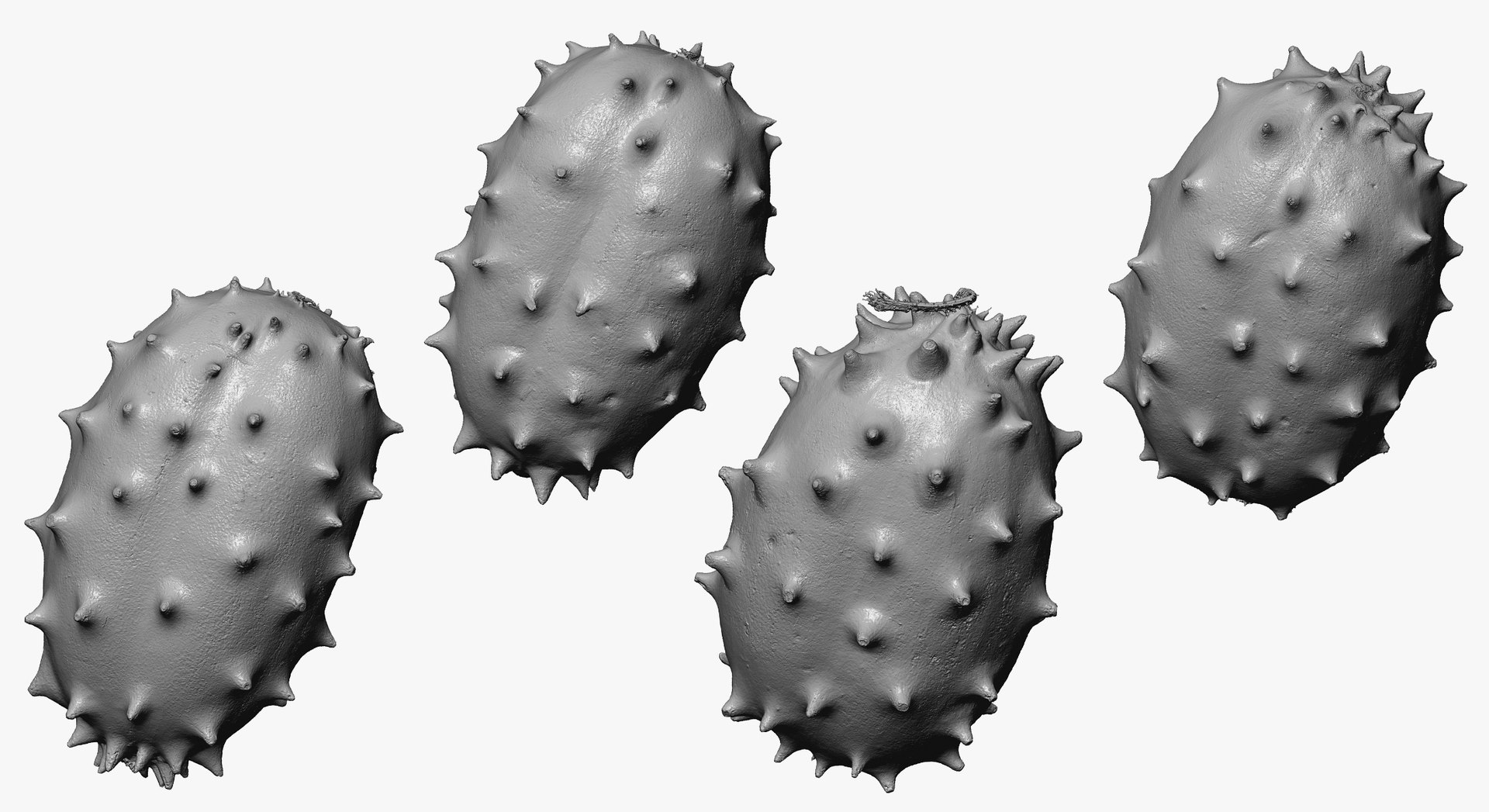 3D model Fruits Collection 01 - 105 models RAW Scans https://p.turbosquid.com/ts-thumb/Th/KdbzRr/hS/1w/jpg/1639998266/1920x1080/fit_q87/00f1c1b952cbdc278a643101c3978280685990bc/1w.jpg