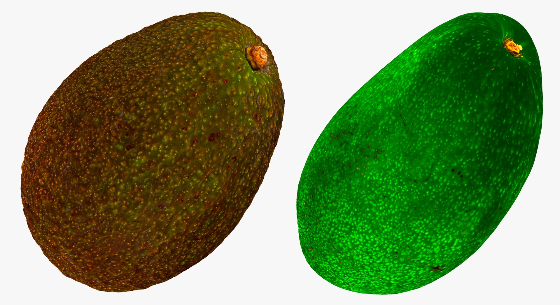 3D model Fruits Collection 01 - 105 models RAW Scans https://p.turbosquid.com/ts-thumb/Th/KdbzRr/pq/16c/jpg/1639998211/1920x1080/fit_q87/c9da3d154058bcad1037369f2132a7bc2d8d48b7/16c.jpg