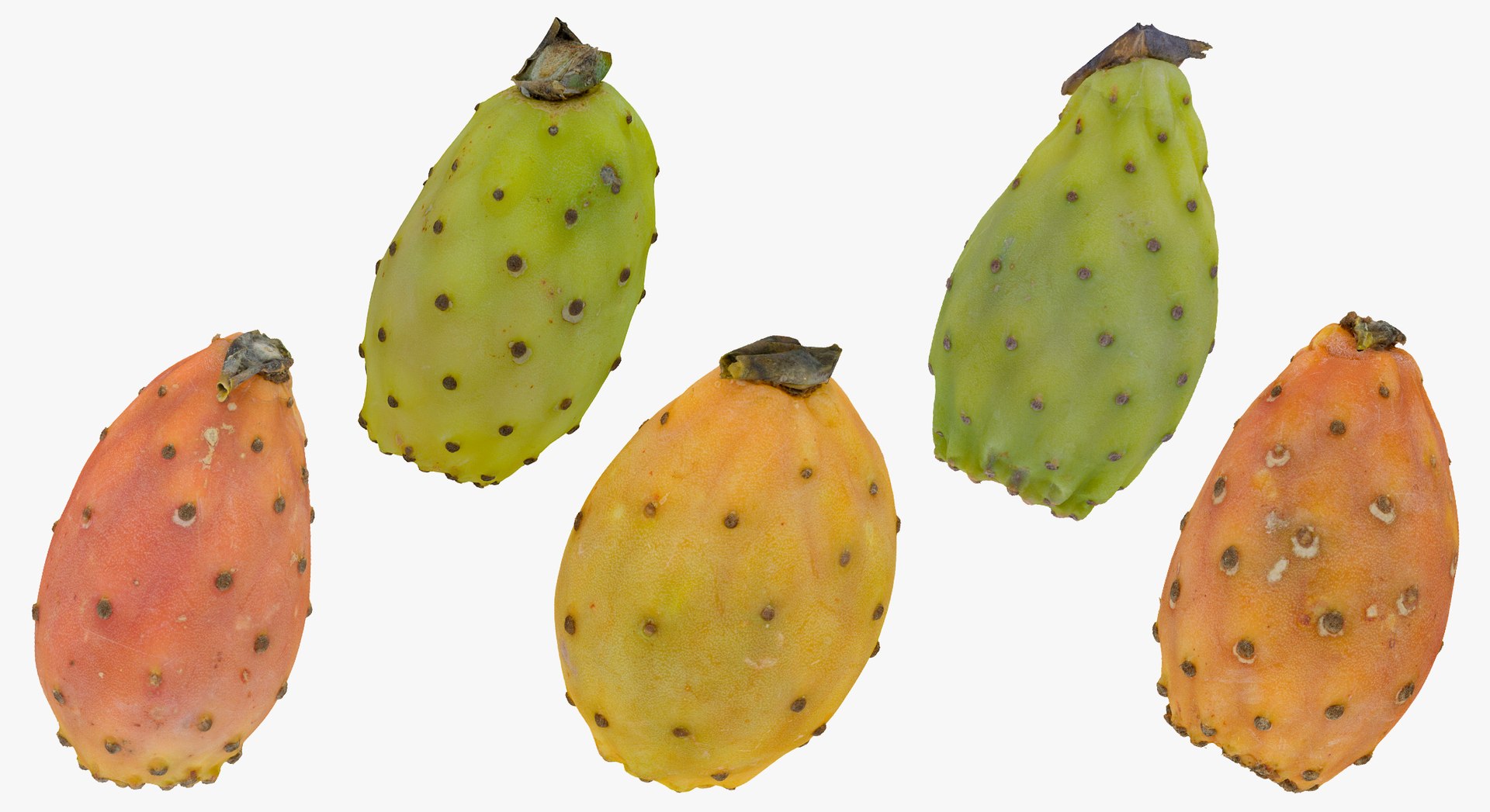 3D model Fruits Collection 01 - 105 models RAW Scans https://p.turbosquid.com/ts-thumb/Th/KdbzRr/zR/22c/jpg/1639998210/1920x1080/fit_q87/4e1de8d225424bb7431b915a3316bb9cce0fc770/22c.jpg