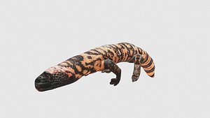 3D Low Poly Gila Monster Rigged With Realistic Texture model