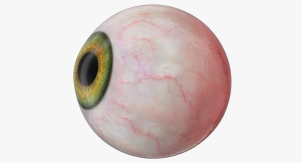 Realistic human green eye 3D model - TurboSquid 1241360