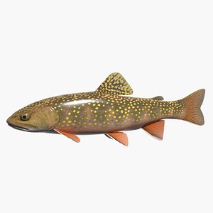 brook kawamasu 3d 3ds