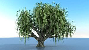 big tree 3D model