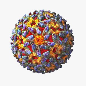 Sindbis Virus