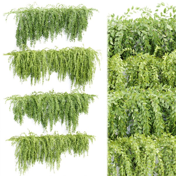 Hanging Wall Creeper Plants Collection Vol 159 Model - Turbosquid 1998046