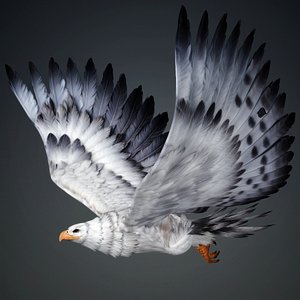 Eagle-B3 3D model
