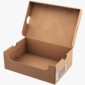 Shoe Box Opened 3D
