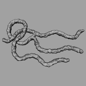 3d max ebola virus
