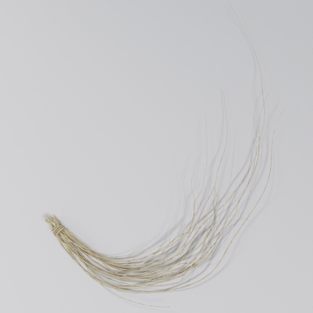 3D dried branch https://p.turbosquid.com/ts-thumb/Ti/DGIdi1/Ag98wMmj/3/jpg/1574350795/1920x1080/fit_q87/61c8c9ad554d9f76c3be5d45ca7543b455c11858/3.jpg