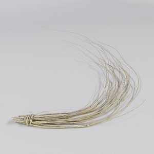 Dried Branch