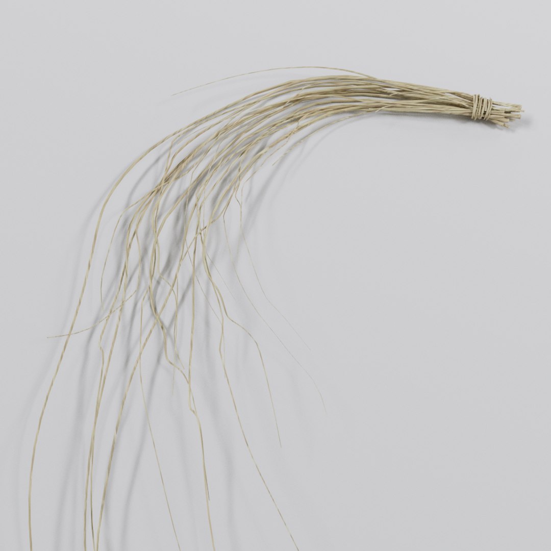 3D dried branch https://p.turbosquid.com/ts-thumb/Ti/DGIdi1/MomdabsV/4/jpg/1574350795/1920x1080/fit_q87/363b548ec2a8b458b3b58f3482ca5ef687717f6f/4.jpg