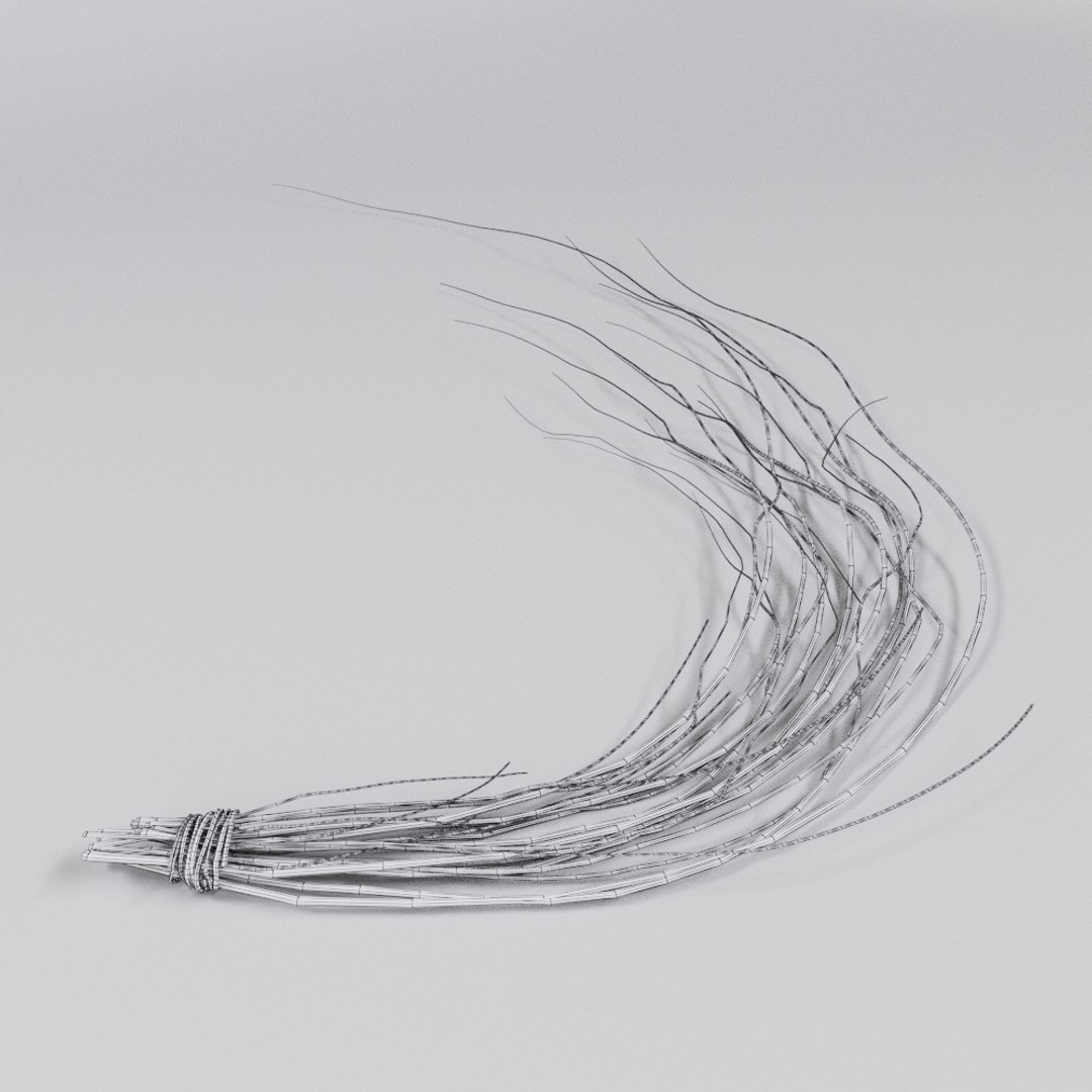 3D dried branch https://p.turbosquid.com/ts-thumb/Ti/DGIdi1/a8RoEdJ6/mesh/jpg/1574350795/1920x1080/fit_q87/163d2f5778b836c186f7131d15d2e029d8524bee/mesh.jpg