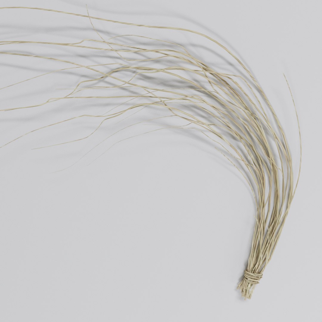 3D dried branch https://p.turbosquid.com/ts-thumb/Ti/DGIdi1/qPydZfFT/5/jpg/1574350795/1920x1080/fit_q87/334239291dda9eee8fff20f2d7a6e362e06b39c3/5.jpg