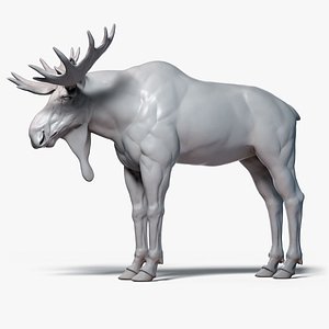 3D model Moose Elk Base Mesh Sculpture