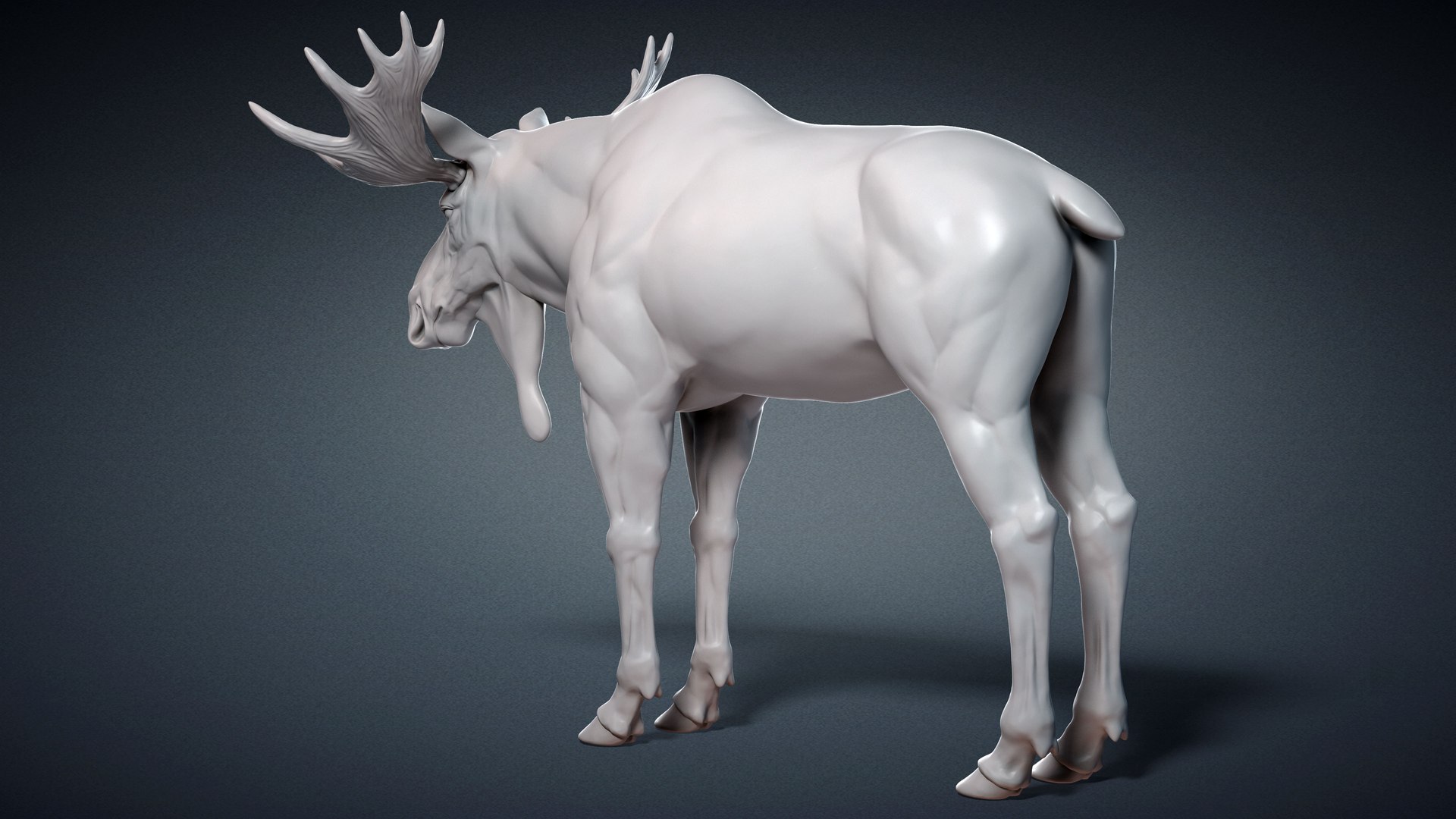 3D Model Moose Elk Base Mesh Sculpture - TurboSquid 2298856