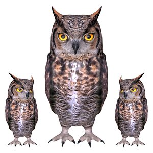 Great Horned Owl T-Pose 3D, Incl. animal & bird - Envato Elements