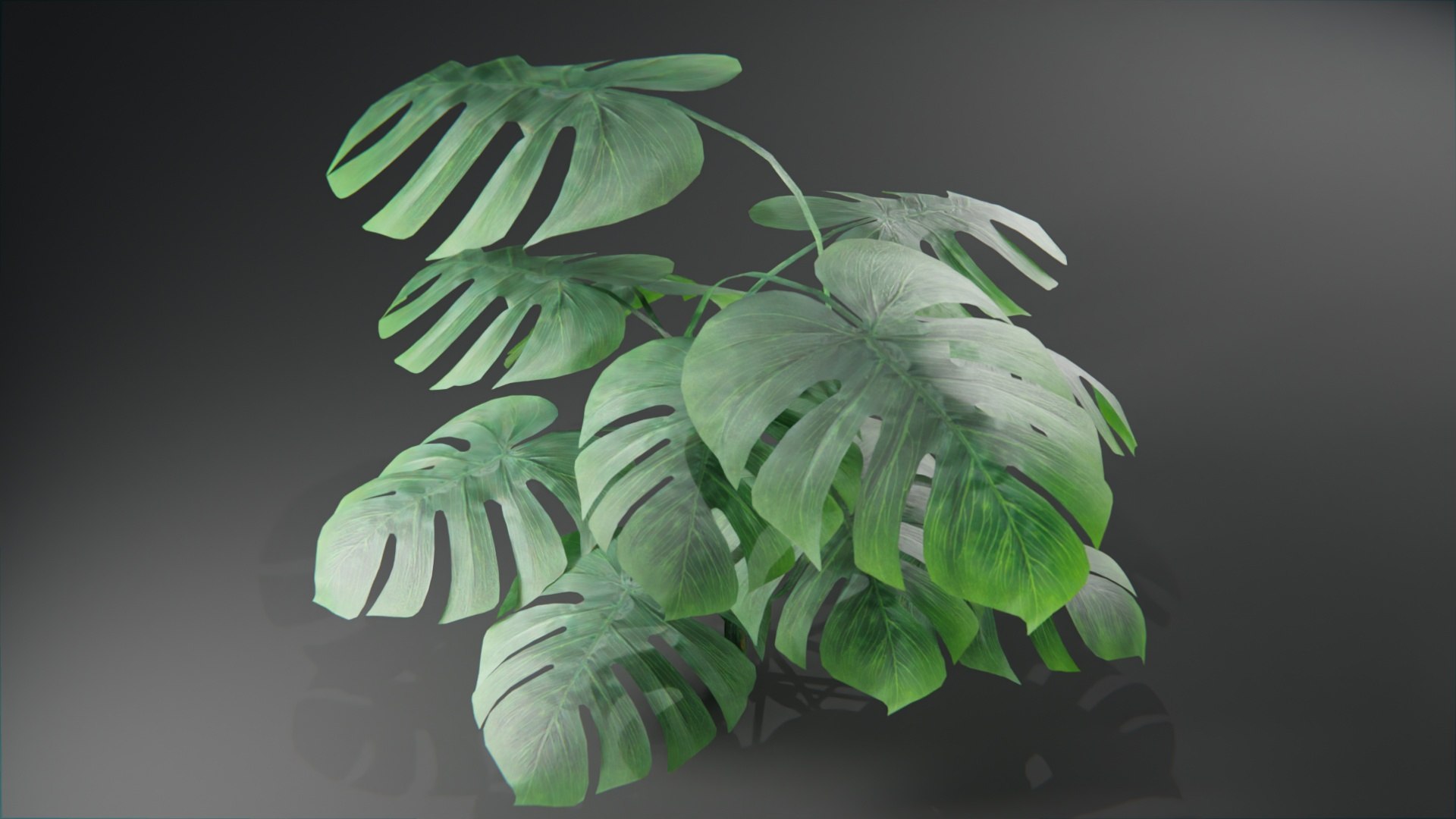 Plants collection model https://p.turbosquid.com/ts-thumb/Ti/HM6OZz/1L/plantstropical_10004/jpg/1695323200/1920x1080/fit_q87/e4fbc3f19bb83aff3d051f530c681fb61a879137/plantstropical_10004.jpg