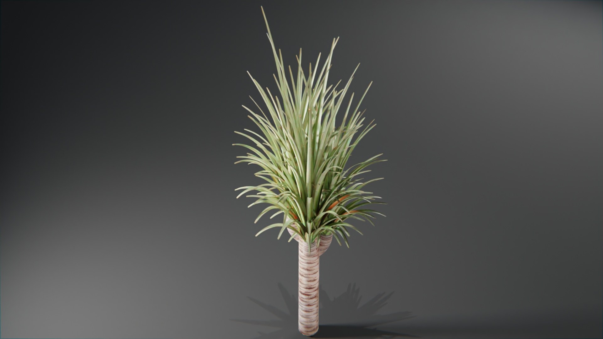 Plants collection model https://p.turbosquid.com/ts-thumb/Ti/HM6OZz/Hn/plantstropical_10001/jpg/1695323198/1920x1080/fit_q87/278f31a38ab8cde7dfb88a94e0bd3dac3b804300/plantstropical_10001.jpg