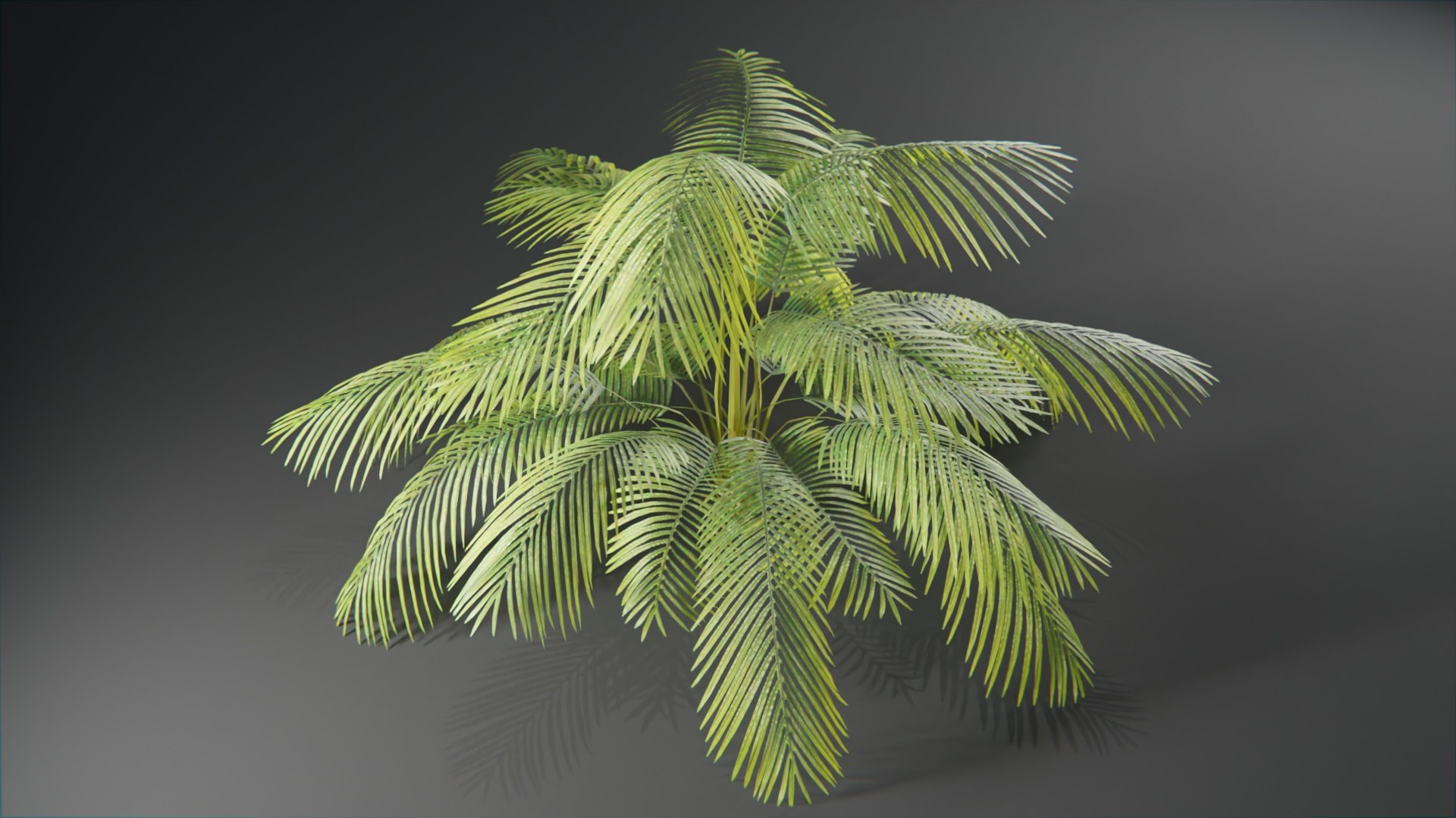 Plants collection model https://p.turbosquid.com/ts-thumb/Ti/HM6OZz/cT/plantstropical_10005/jpg/1695323200/1920x1080/fit_q87/5c8c546b6ee2339ade53dc0065f7649bebb7c098/plantstropical_10005.jpg