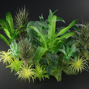 Plants collection model