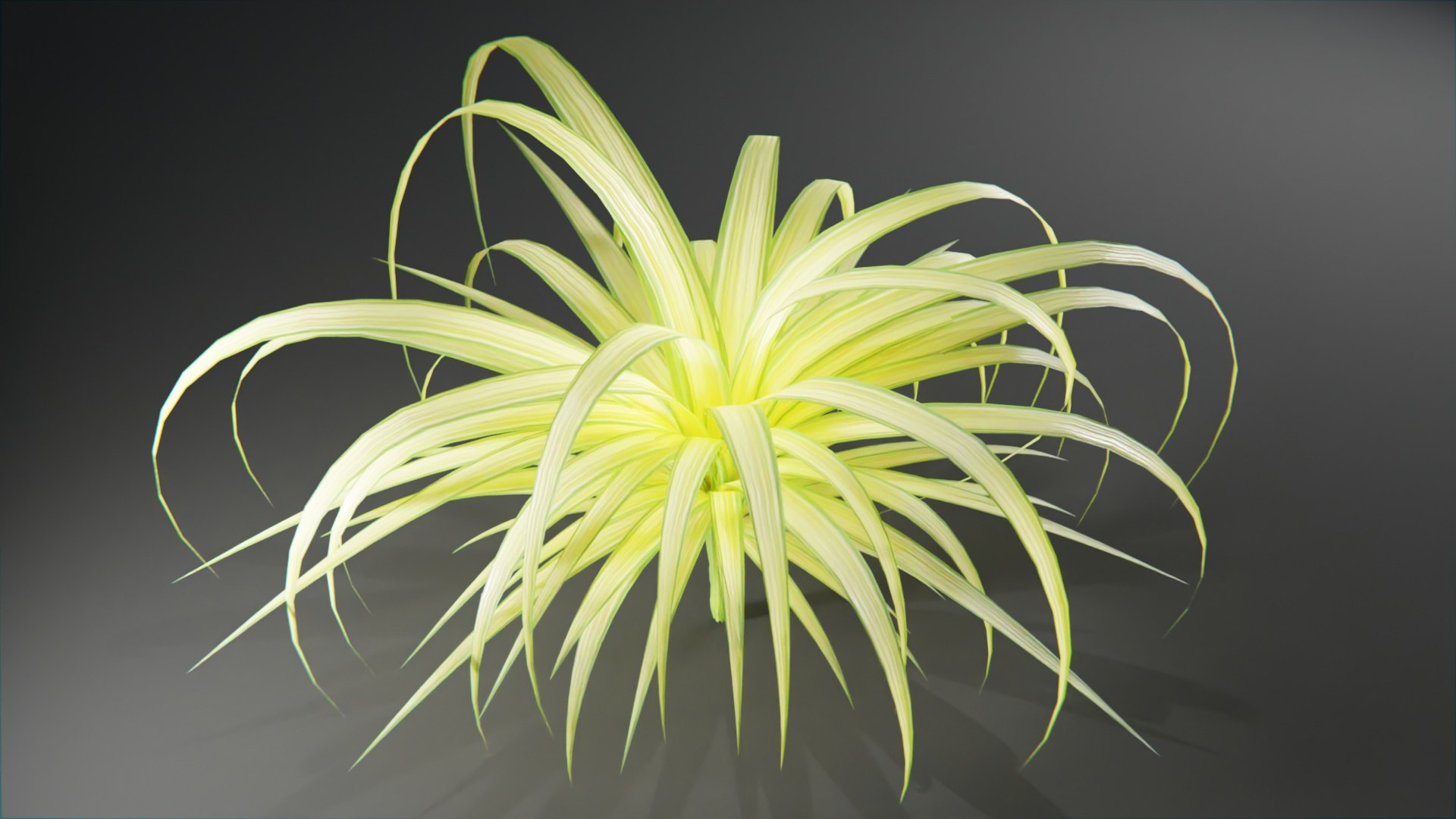 Plants collection model https://p.turbosquid.com/ts-thumb/Ti/HM6OZz/t3/plantstropical_10007/jpg/1695323202/1920x1080/fit_q87/3830010324e6efe46c699c653875026a4932012e/plantstropical_10007.jpg